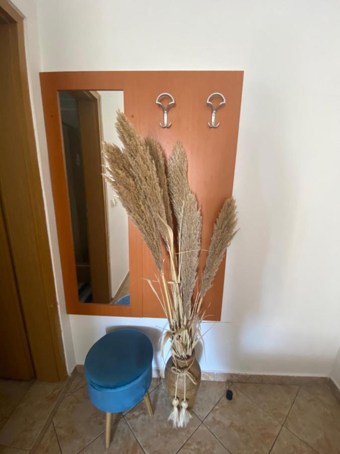 Miomir Perazic Apartments Petrovac المظهر الخارجي الصورة