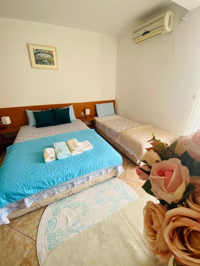 Miomir Perazic Apartments Petrovac المظهر الخارجي الصورة