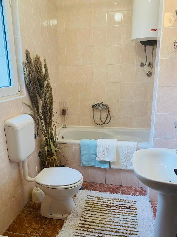 Miomir Perazic Apartments Petrovac المظهر الخارجي الصورة